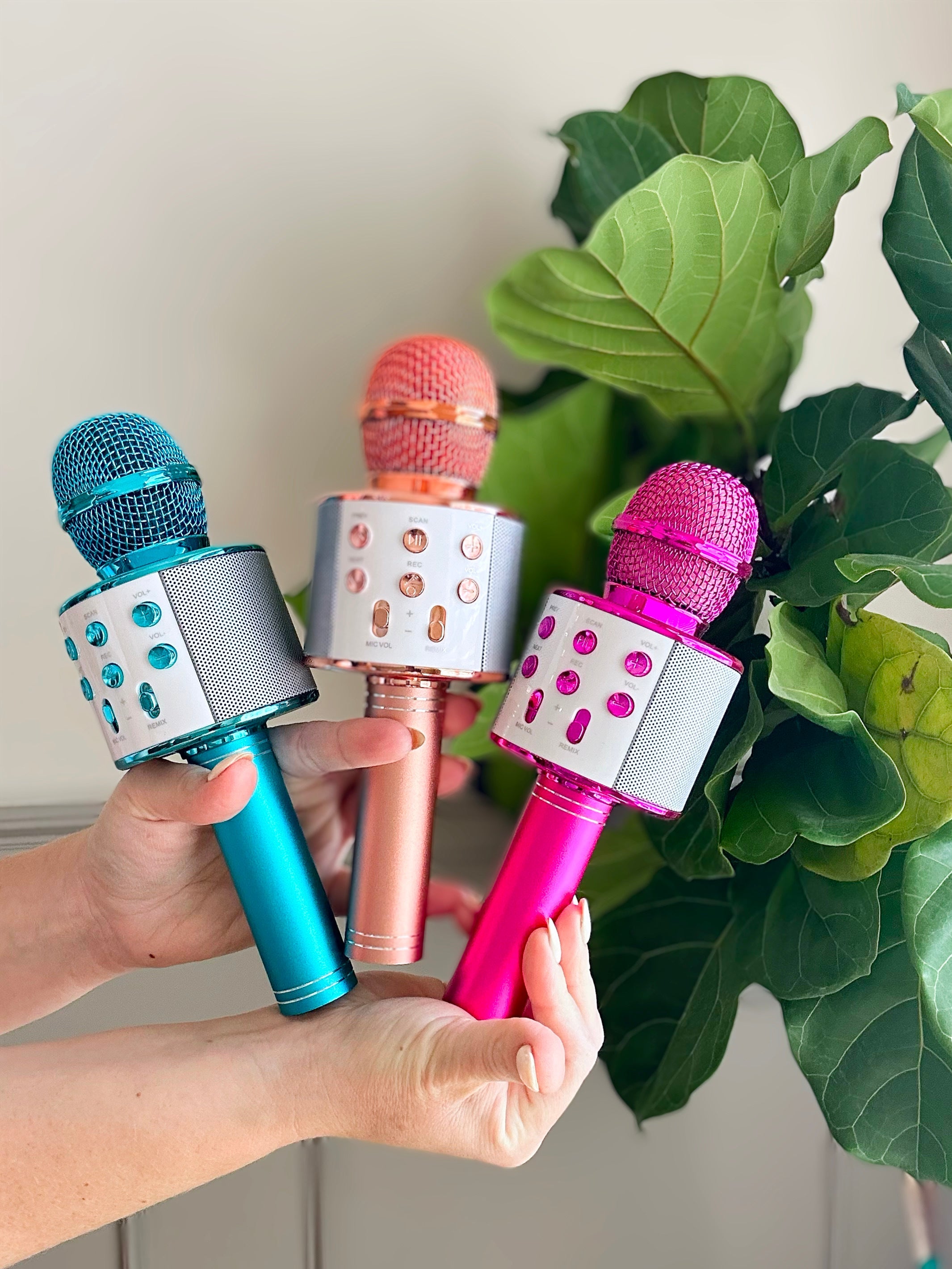 Karaoke Microphone in Assorted Colors