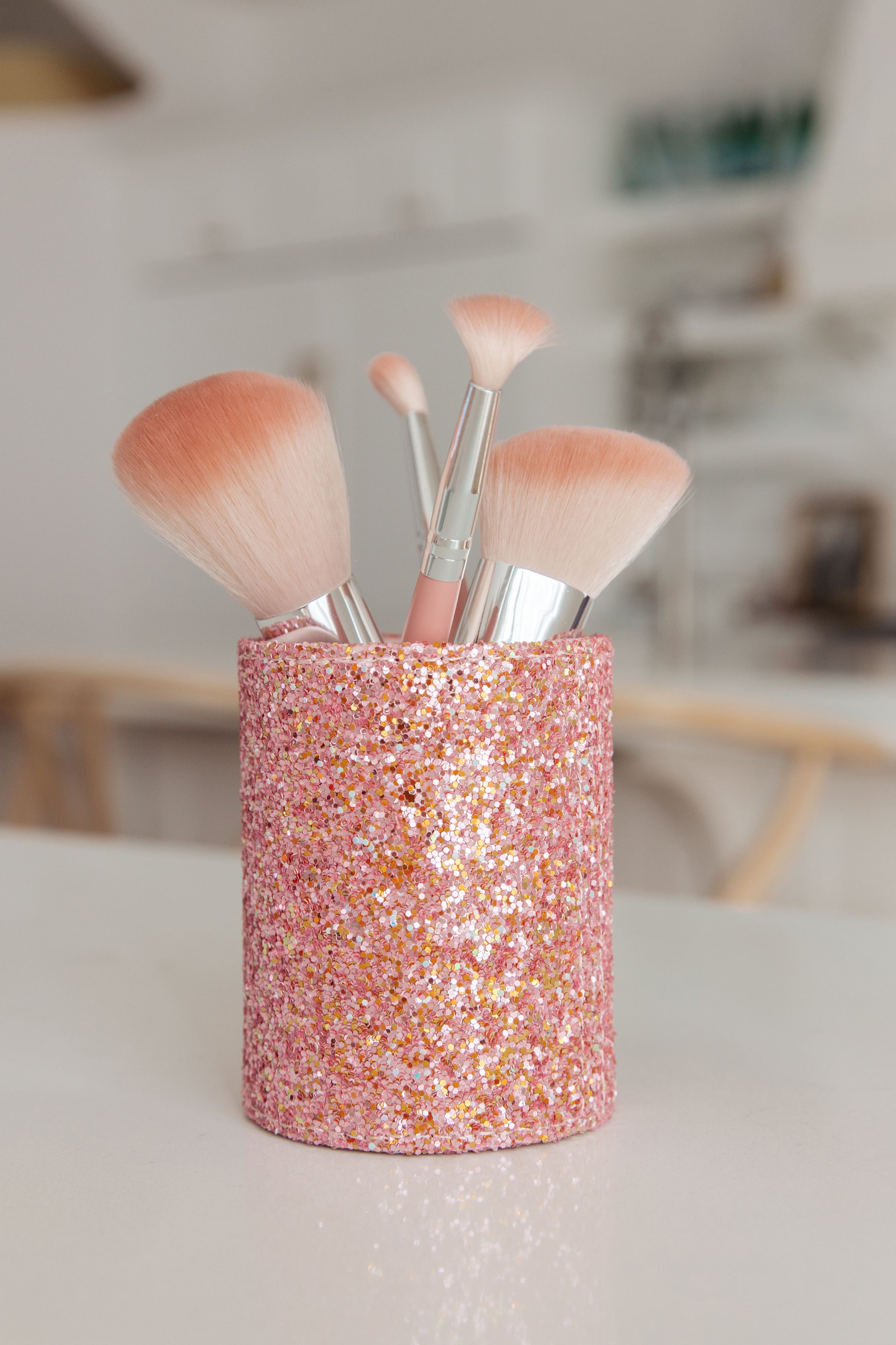 Brush and Storage Set in Pink
